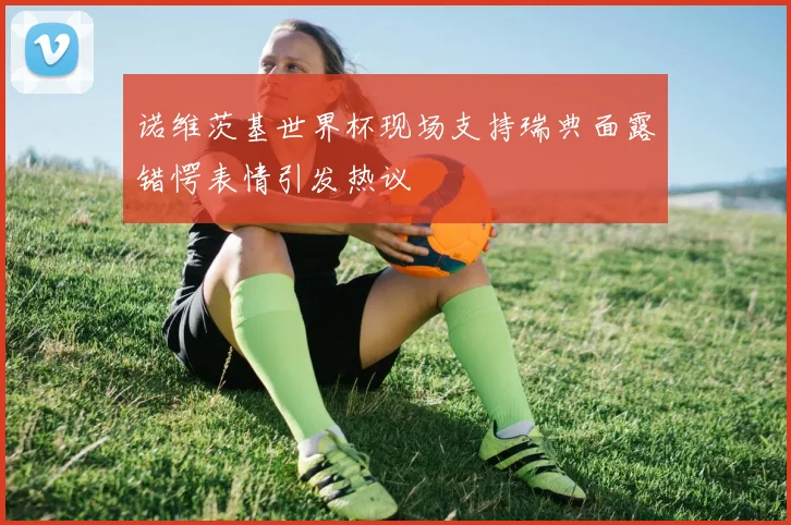 诺维茨基世界杯现场支持瑞典面露错愕表情引发热议