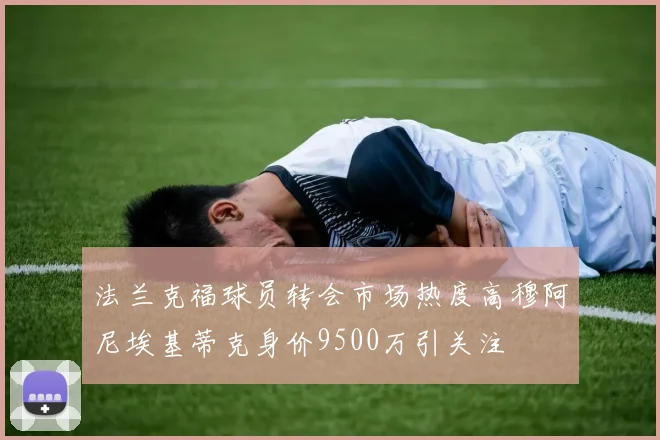 法兰克福球员转会市场热度高穆阿尼埃基蒂克身价9500万引关注